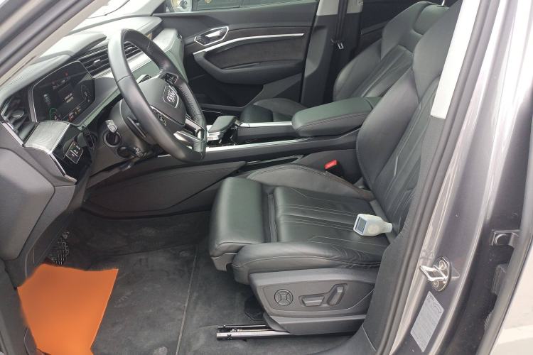 Used Audi e-tron 2019 55 quattro Technology Edition Left Front Seat