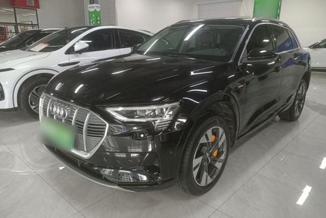 Audi e-tron 2019 55 quattro Technology Edition d’occasion