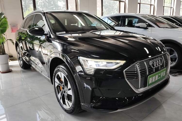Used Audi e-tron 2019 55 quattro Technology Edition Exterior 1