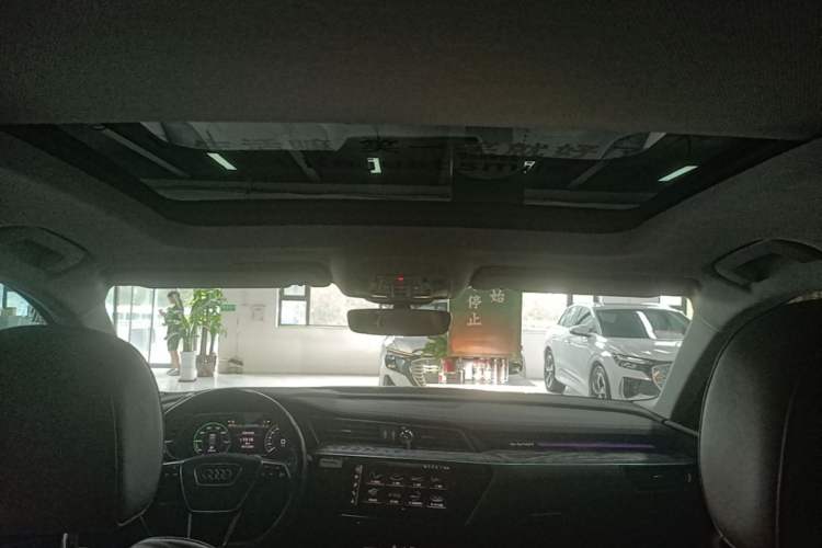 Used Audi e-tron 2019 55 quattro Technology Edition Headliner
