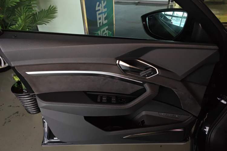Used Audi e-tron 2019 55 quattro Technology Edition Left Front Door Interior