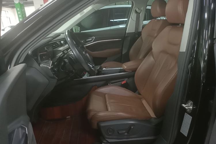 Used Audi e-tron 2019 55 quattro Technology Edition Left Front Seat