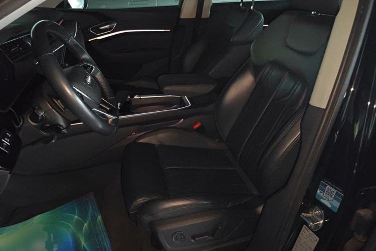Used Audi e-tron 2019 55 quattro Technology Edition Left Front Seat
