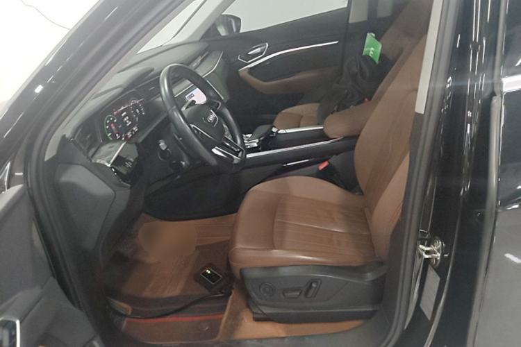 Used Audi e-tron 2019 55 quattro Fashion Edition Left Front Seat