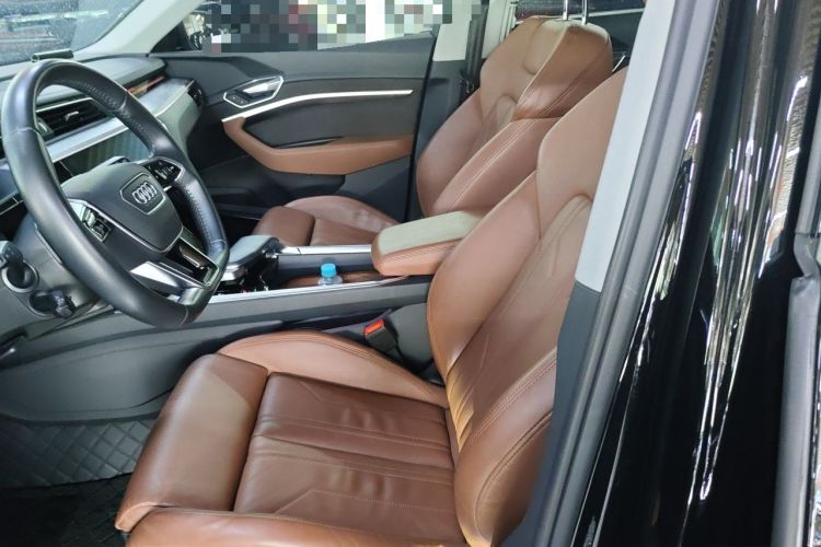 Used Audi e-tron 2019 55 quattro Technology Edition Left Front Seat