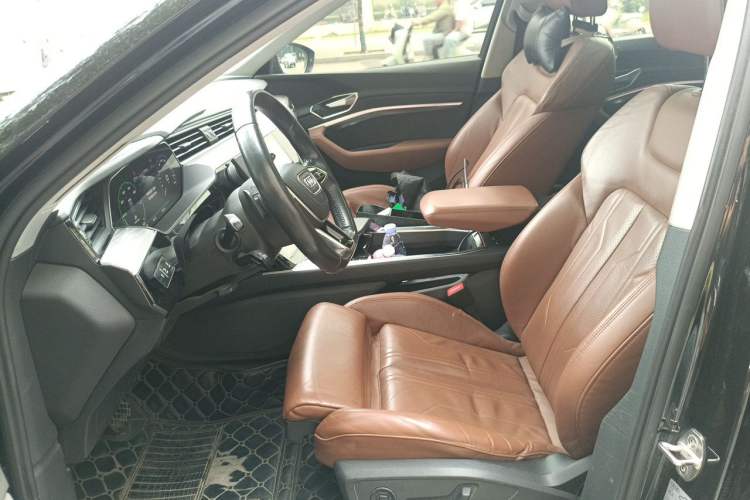 Used Audi e-tron 2019 55 quattro Technology Edition Left Front Seat