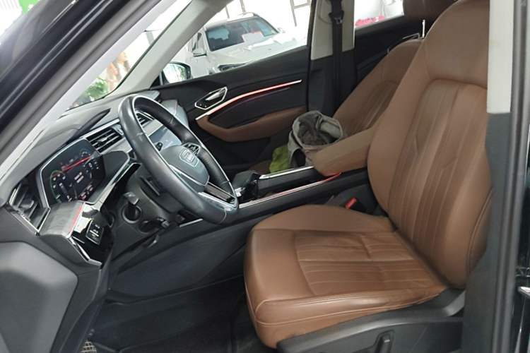 Used Audi e-tron 2019 55 quattro Technology Edition Left Front Seat