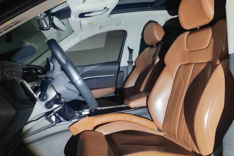 Used Audi e-tron 2019 55 quattro Technology Edition Left Front Seat