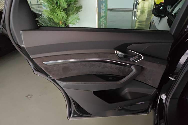 Used Audi e-tron 2019 55 quattro Technology Edition Left Rear Door Interior