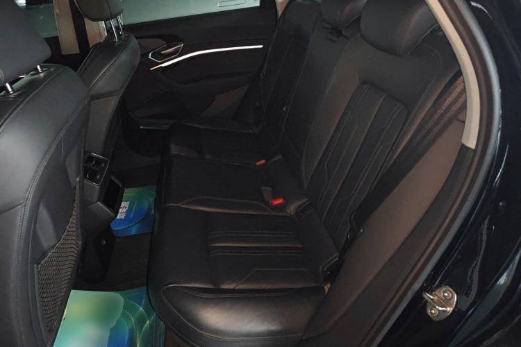 Used Audi e-tron 2019 55 quattro Technology Edition Left Rear Seat