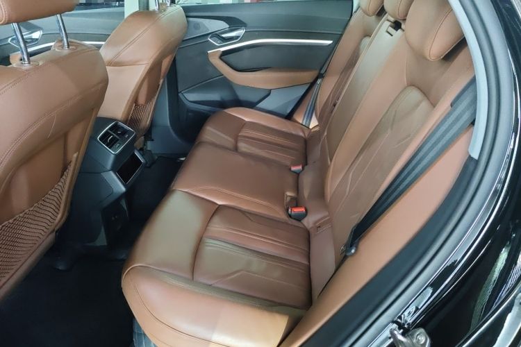 Used Audi e-tron 2019 55 quattro Technology Edition Left Rear Seat