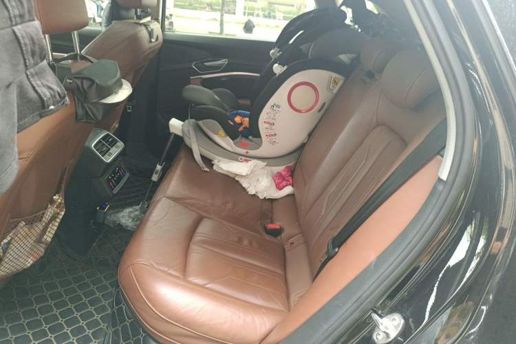 Used Audi e-tron 2019 55 quattro Technology Edition Left Rear Seat