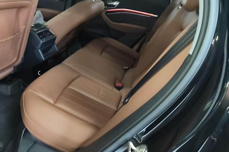 Used Audi e-tron 2019 55 quattro Technology Edition Left Rear Seat