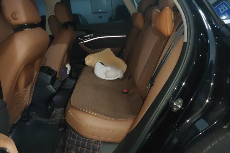 Used Audi e-tron 2019 55 quattro Technology Edition Left Rear Seat
