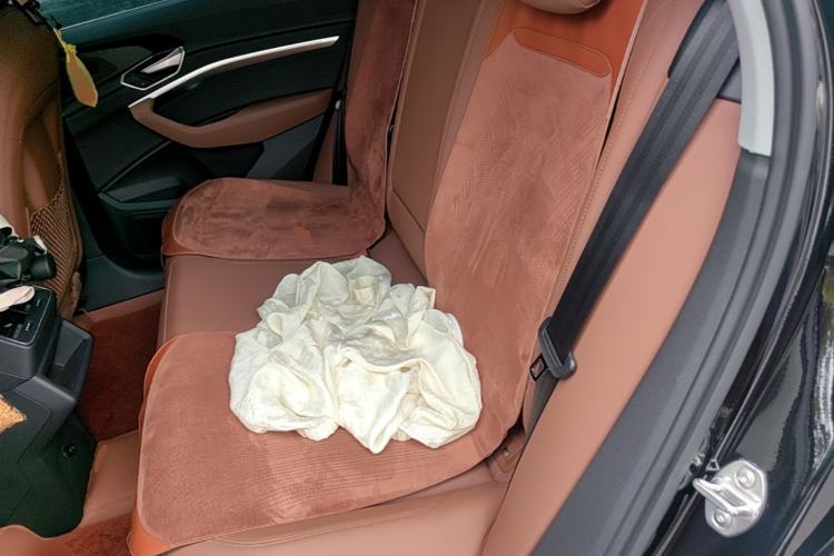 Used Audi e-tron 2019 55 quattro Fashion Edition Left Rear Seat