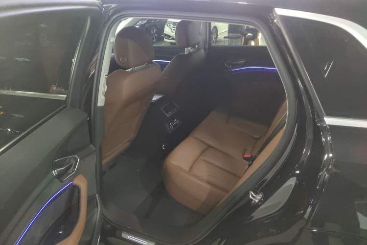 Used Audi e-tron 2019 55 quattro Technology Edition Left Rear Seat