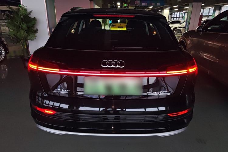 Used Audi e-tron 2019 55 quattro Technology Edition Rear