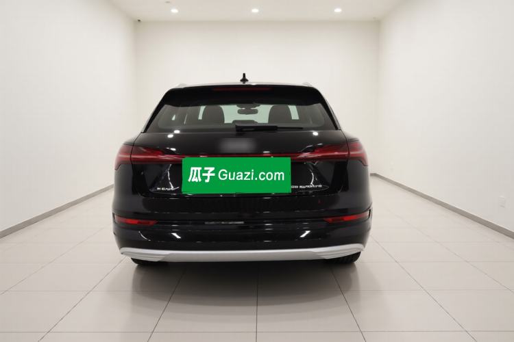Used Audi e-tron 2019 55 quattro Technology Edition Rear