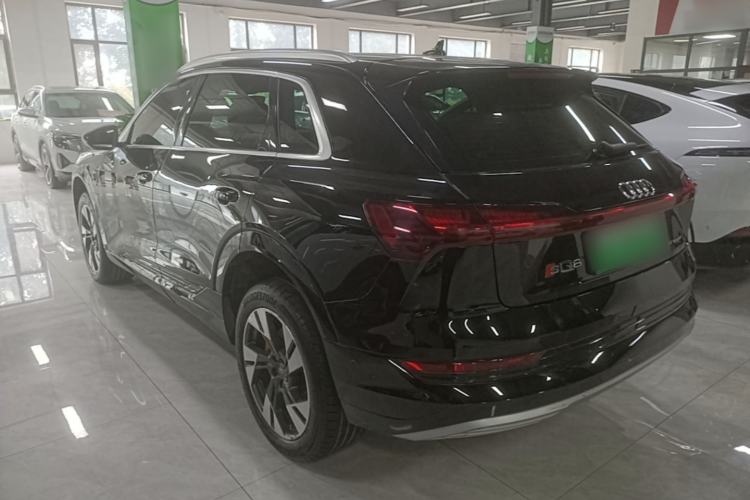 Used Audi e-tron 2019 55 quattro Technology Edition Rear Left 45 Deg