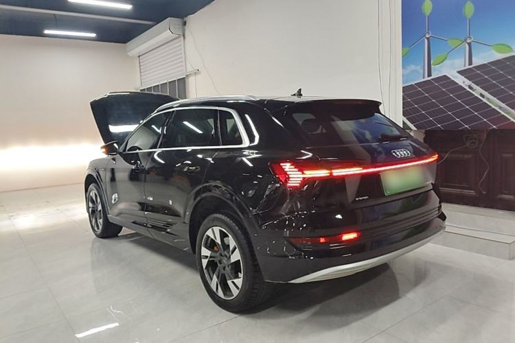 Used Audi e-tron 2019 55 quattro Fashion Edition Rear Left 45 Deg
