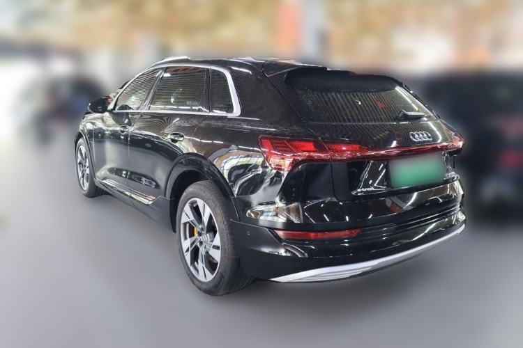 Used Audi e-tron 2019 55 quattro Technology Edition Rear Left 45 Deg