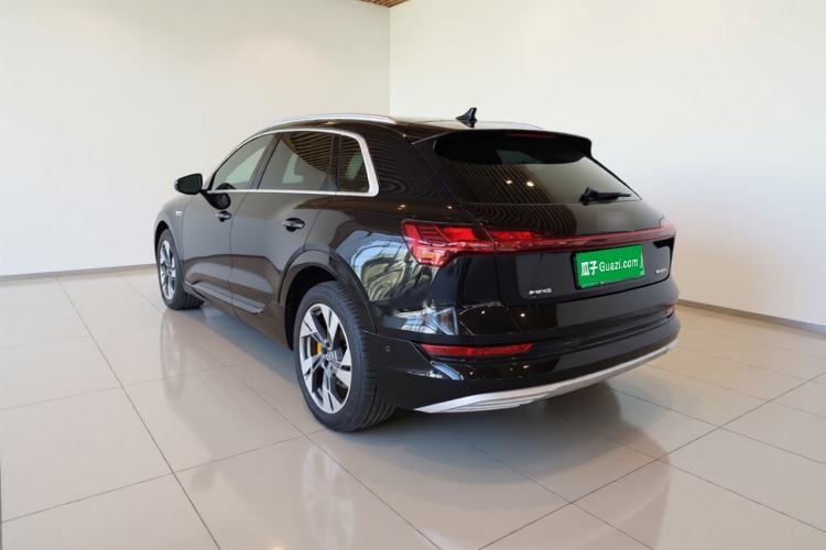 Used Audi e-tron 2019 55 quattro Technology Edition Rear Left 45 Deg