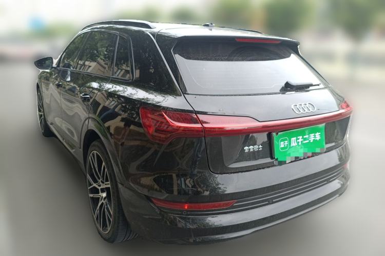 Used Audi e-tron 2019 55 quattro Technology Edition Rear Left 45 Deg