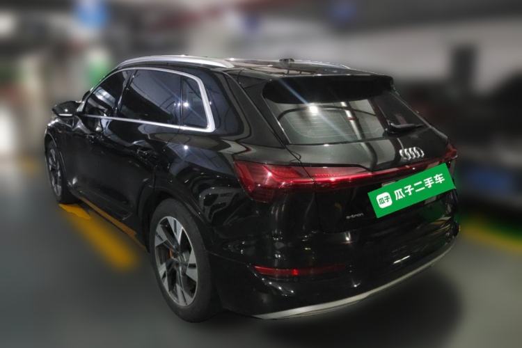 Used Audi e-tron 2019 55 quattro Technology Edition Rear Left 45 Deg
