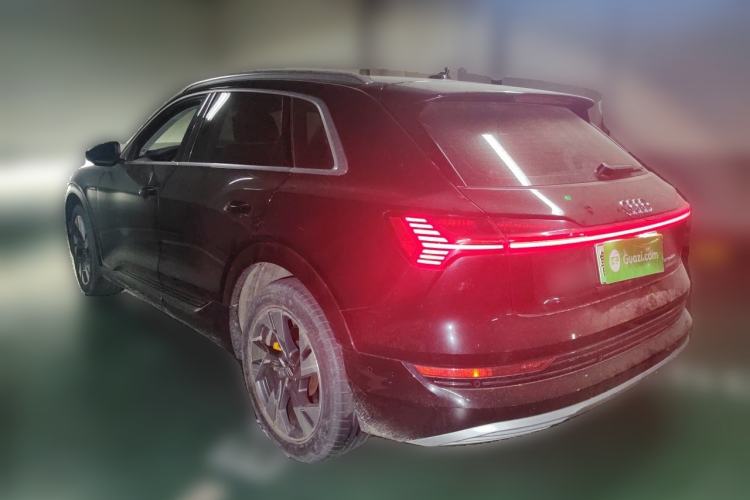 Used Audi e-tron 2019 55 quattro Technology Edition Rear Left 45 Deg