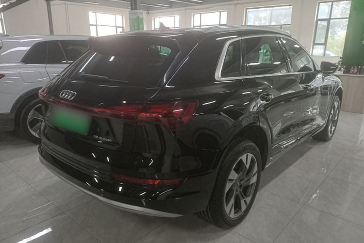 Used Audi e-tron 2019 55 quattro Technology Edition Rear Right 45 Deg