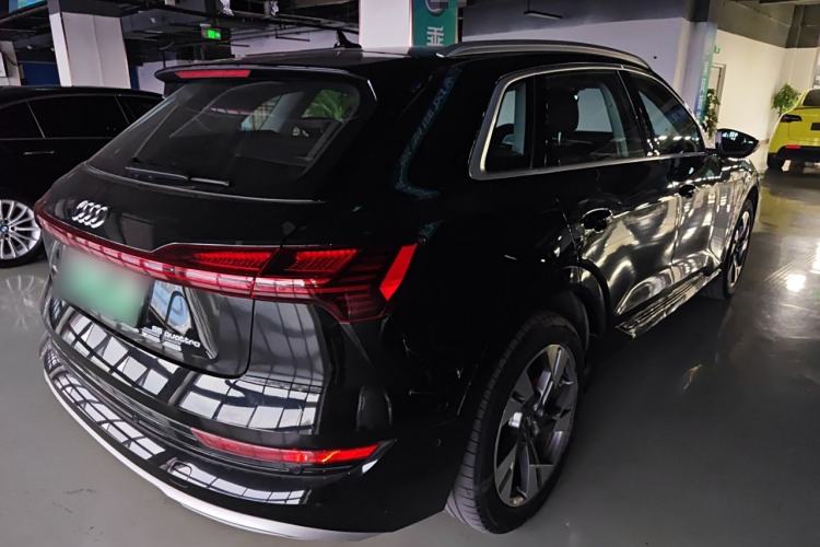 Used Audi e-tron 2019 55 quattro Technology Edition Rear Right 45 Deg
