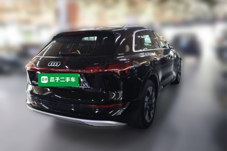 Used Audi e-tron 2019 55 quattro Technology Edition Rear Right 45 Deg