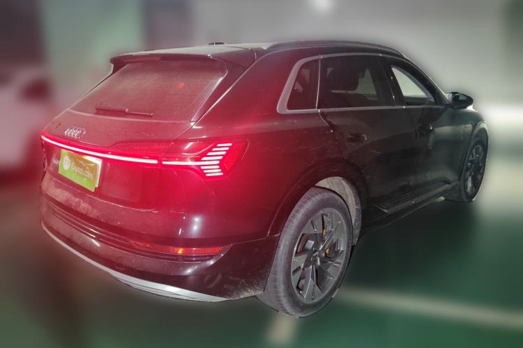 Used Audi e-tron 2019 55 quattro Technology Edition Rear Right 45 Deg