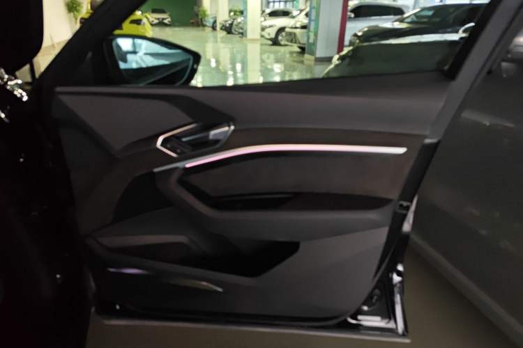 Used Audi e-tron 2019 55 quattro Technology Edition Right Front Door Interior