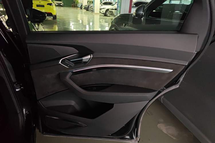 Used Audi e-tron 2019 55 quattro Technology Edition Right Rear Door Interior