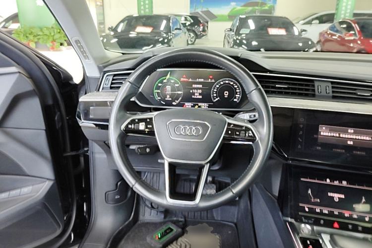 Used Audi e-tron 2019 55 quattro Technology Edition Steering Wheel