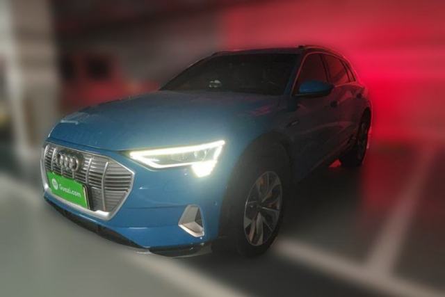 Audi e-tron 2019 55 quattro Global Limited Edition Edition 1 usado