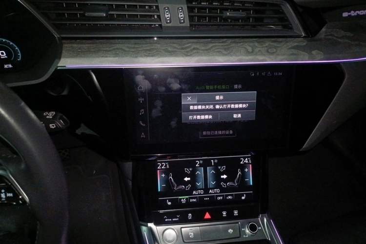 Used Audi e-tron 2019 55 quattro Technology Edition Audio And AC Panel