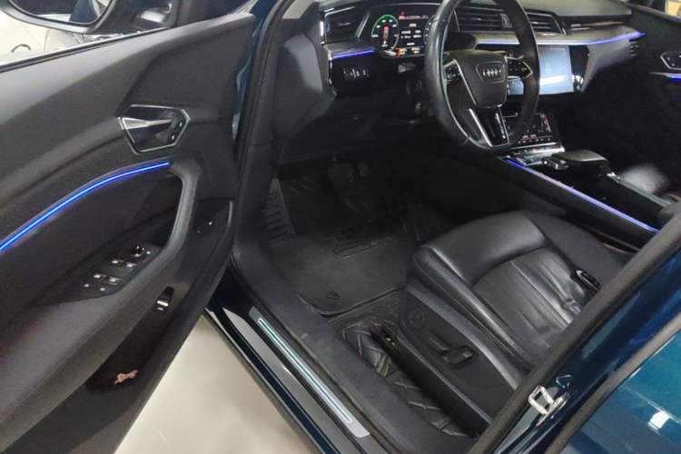 Used Audi e-tron 2019 55 quattro Fashion Edition Driver Seat