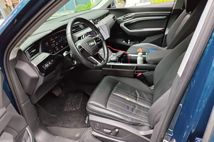 Used Audi e-tron 2019 55 quattro Fashion Edition Left Front Seat