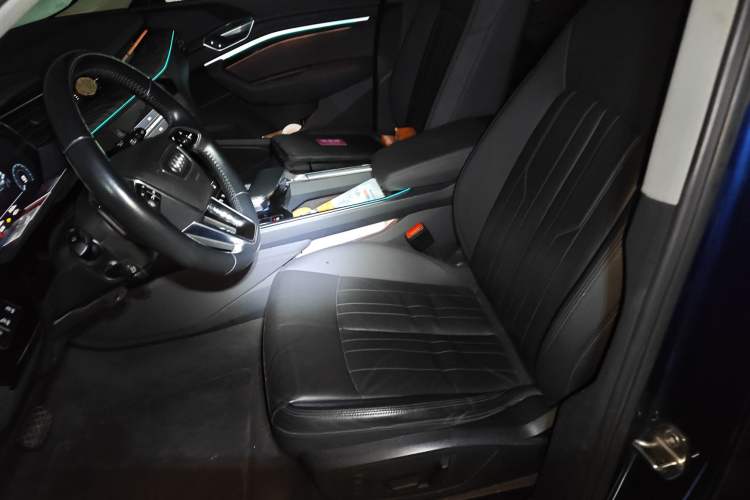Used Audi e-tron 2019 55 quattro Technology Edition Left Front Seat