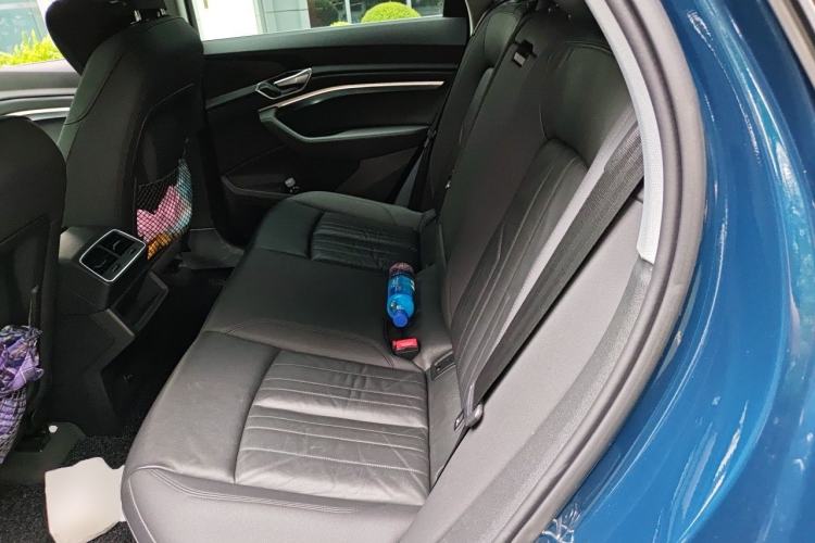 Used Audi e-tron 2019 55 quattro Fashion Edition Left Rear Seat