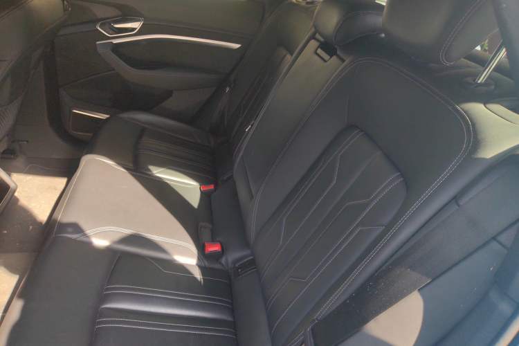 Used Audi e-tron 2019 55 quattro Global Limited Edition Edition 1 Left Rear Seat