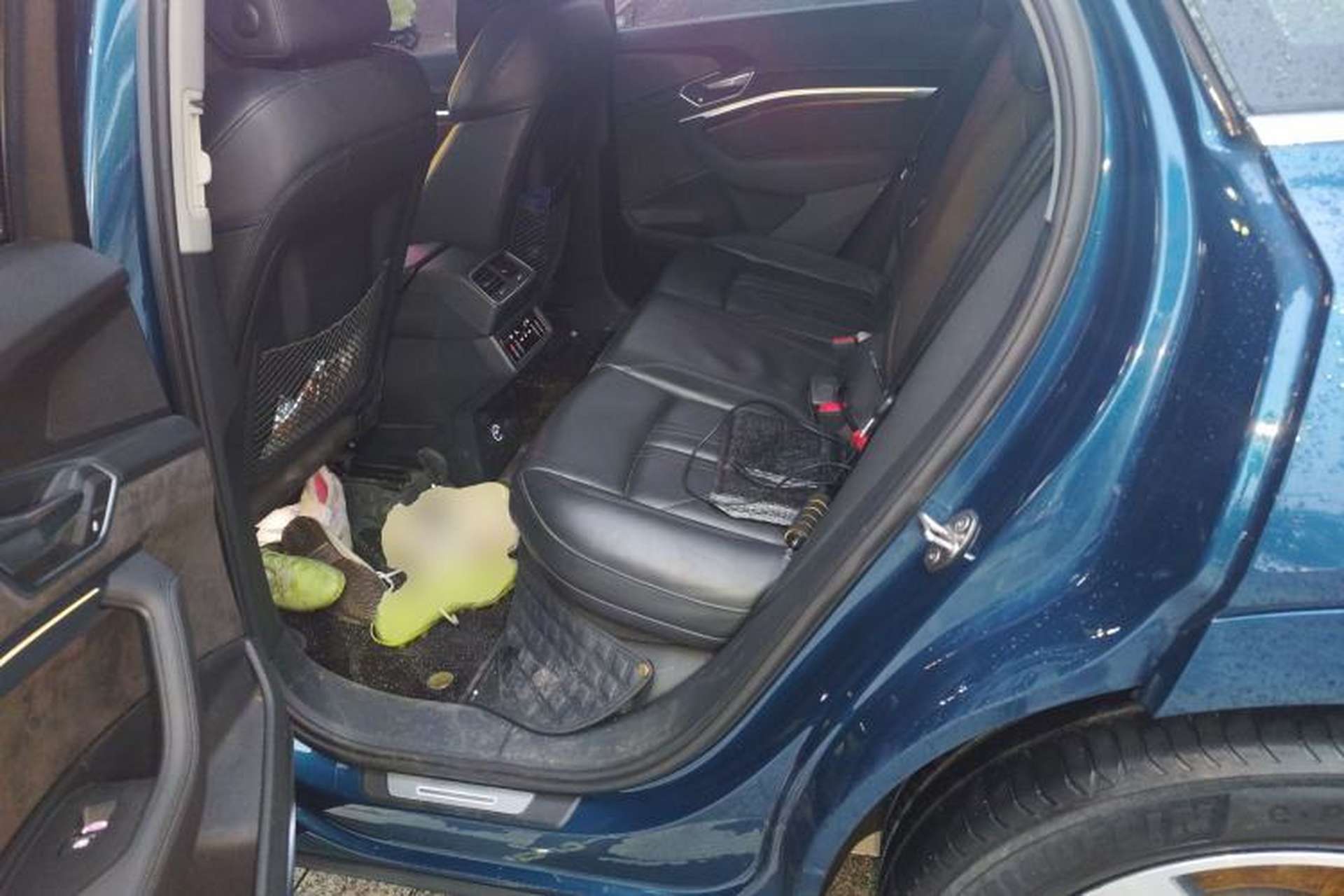 Used Audi e-tron 2019 55 quattro Technology Edition Left Rear Seat