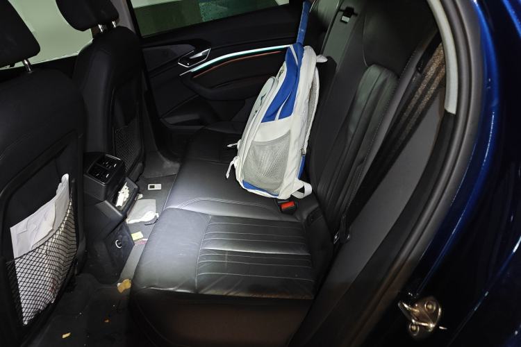 Used Audi e-tron 2019 55 quattro Technology Edition Left Rear Seat