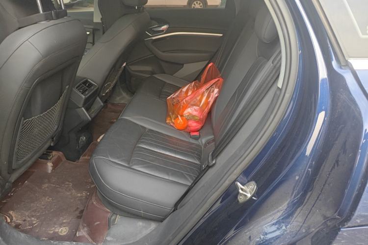 Used Audi e-tron 2019 55 quattro Fashion Edition Left Rear Seat
