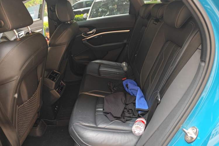 Used Audi e-tron 2019 55 quattro Global Limited Edition Edition 1 Left Rear Seat