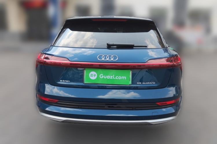 Used Audi e-tron 2019 55 quattro Fashion Edition Rear