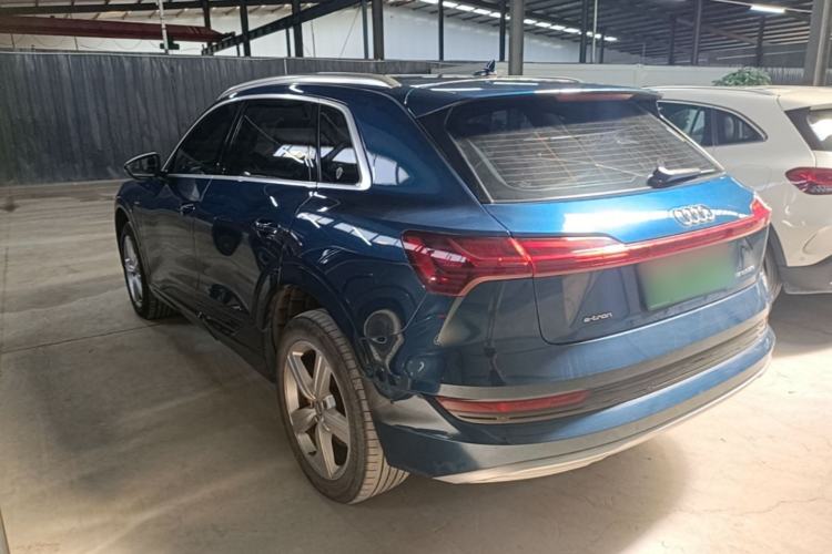 Used Audi e-tron 2019 55 quattro Fashion Edition Rear Left 45 Deg