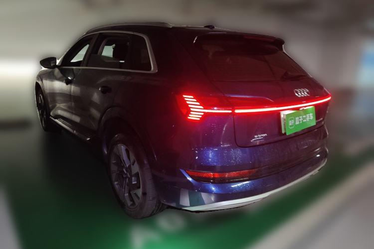Used Audi e-tron 2019 55 quattro Technology Edition Rear Left 45 Deg